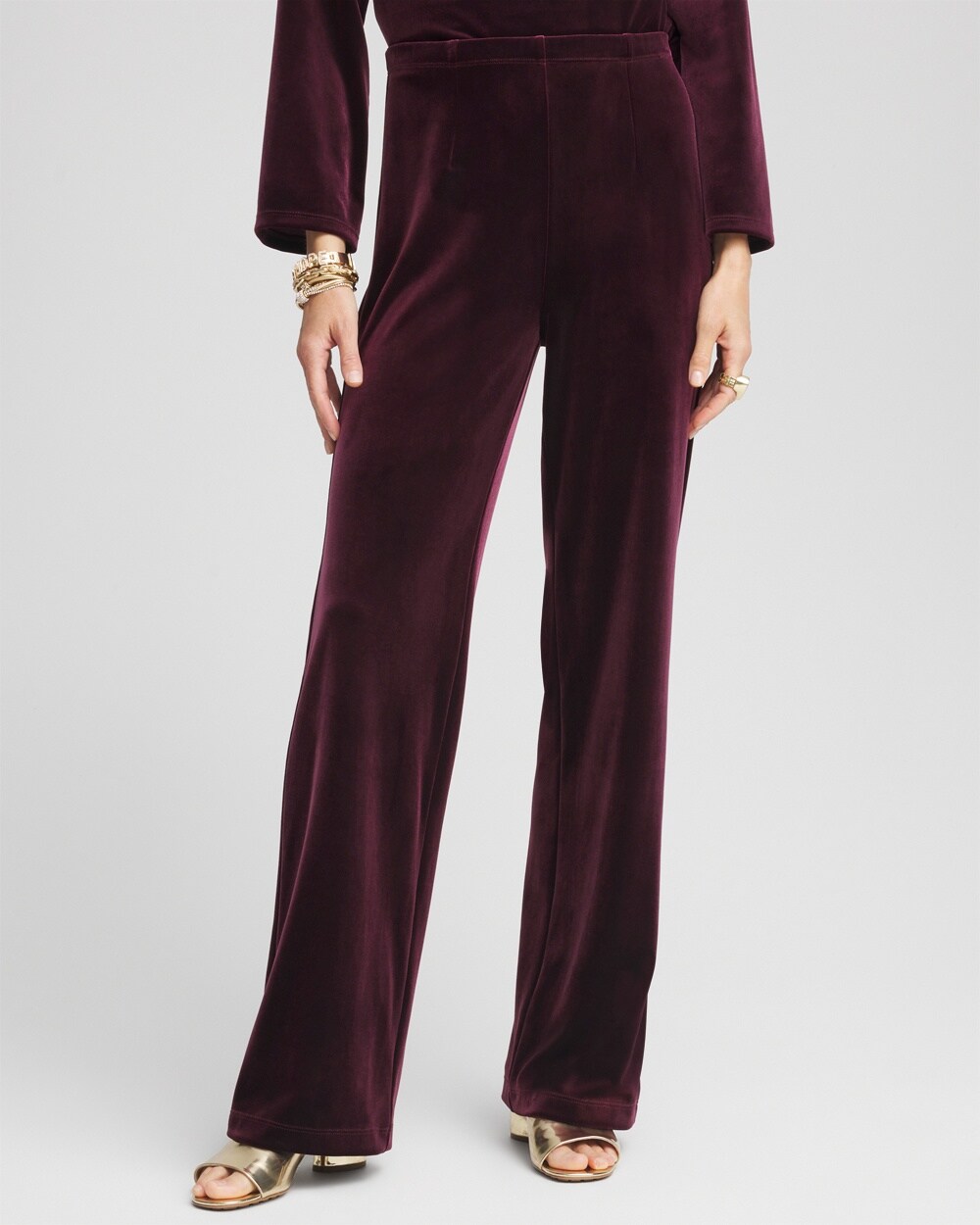 Travelers Collection Velvet No Tummy Pants