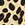 Show Cheetah Print for Product